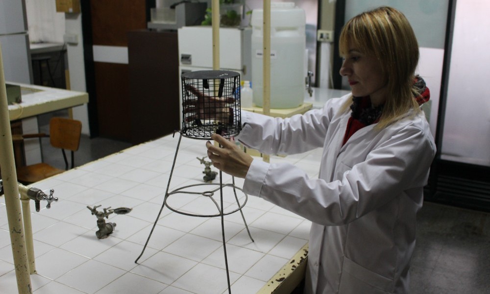 La UNSL pagará la totalidad de los subsidios a los proyectos de investigación 2018