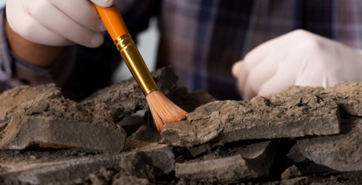 Conocé la arqueología desde una mirada educativa y turística