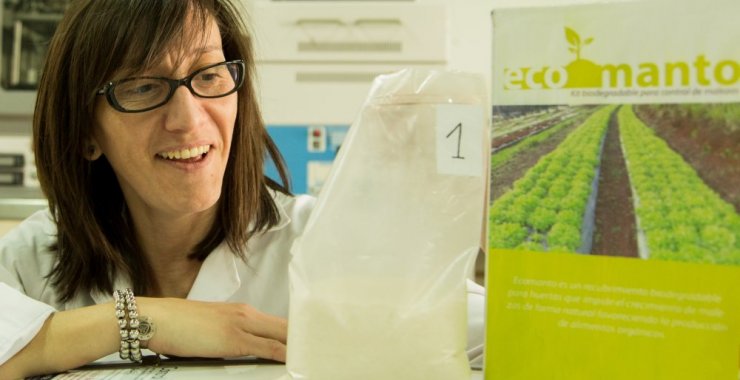 Crean un manto biodegradable para inhibir malezas para el cultivo orgánico