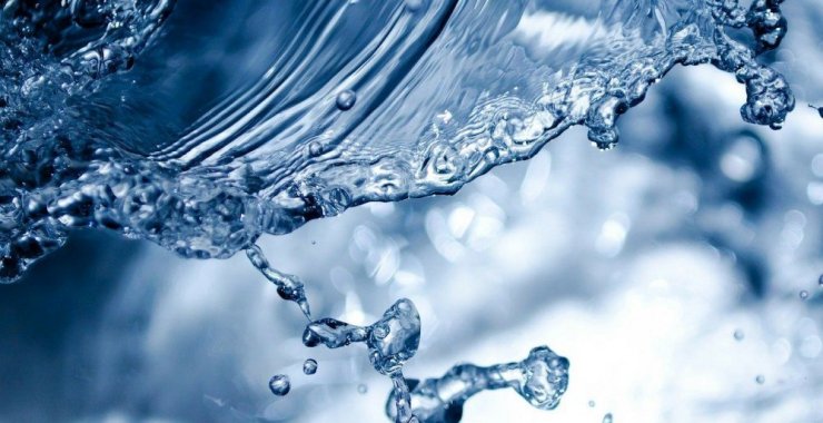 I Jornada del Día Mundial del Agua
