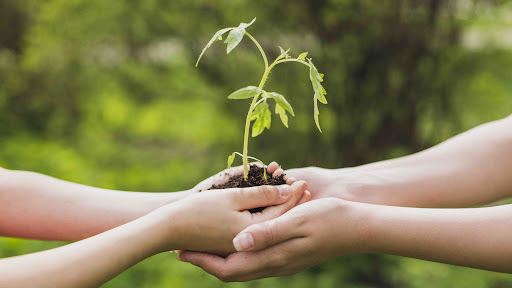 IX Jornadas RESA 2021. Experiencias en Educación para la Sustentabilidad