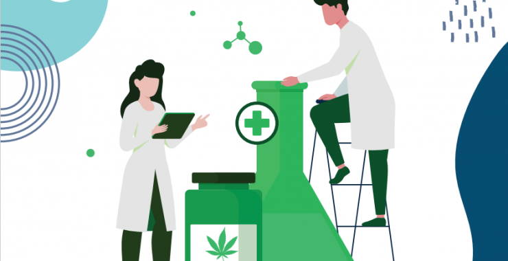 Cannabis: Abordarán la temática en un curso de posgrado