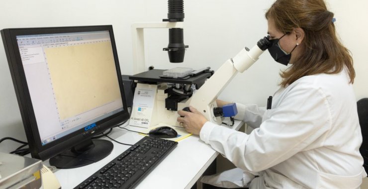 La UNSL a la vanguardia en investigaciones en inmunología