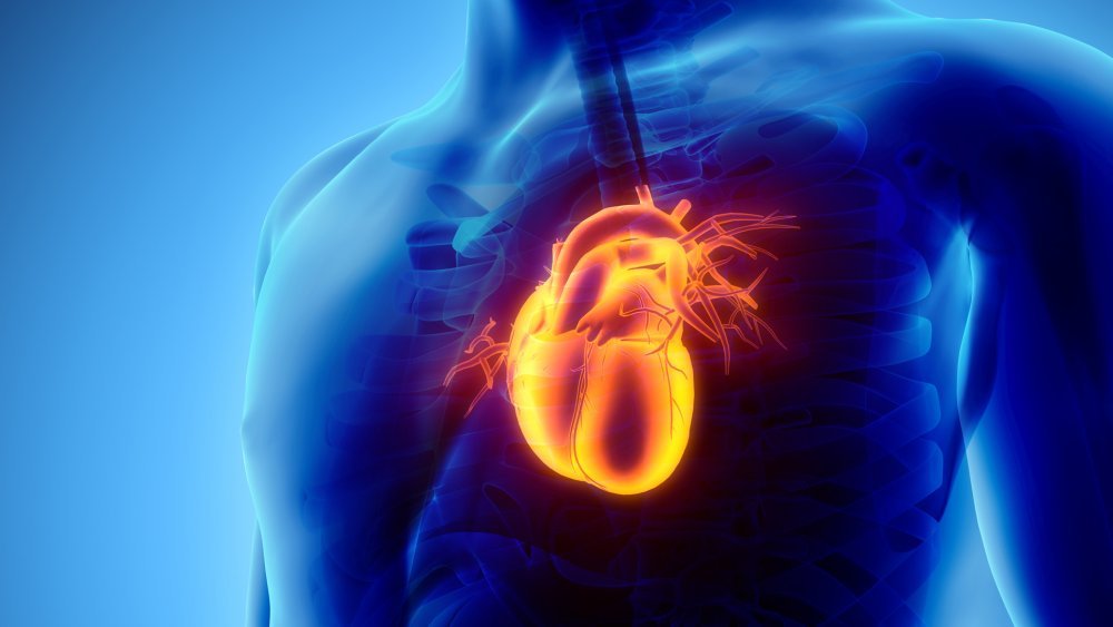 Presentarán un descubrimiento revolucionario de médicos argentinos sobre el funcionamiento del corazón