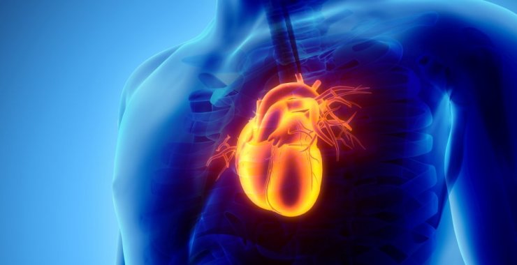 Presentarán un descubrimiento revolucionario de médicos argentinos sobre el funcionamiento del corazón