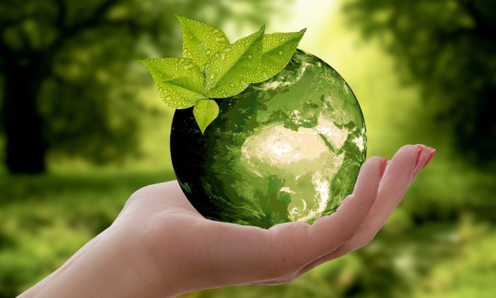 Continúa la organización del V Congreso Nacional de Ciencia y Tecnología Ambiental 2023