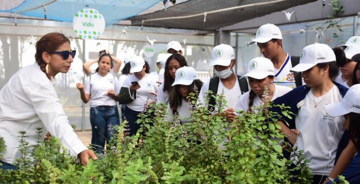 Seminario de Educación y Gestión Socio-Ambiental