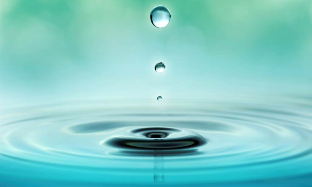 El Agua, el recurso natural más importante para la vida. ¿Cómo cuidarlo?