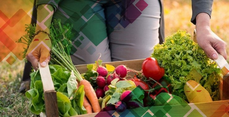 La Maestría en Ciencia y Tecnología de Agroalimentos fue acreditada por Nación