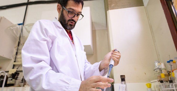 Estudian el genoma del mosquito transmisor del Dengue y su probabilidad inmune