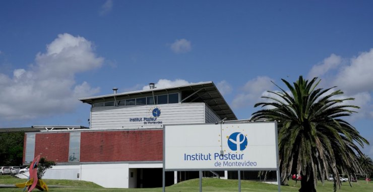 Becas para estudiantes de posgrado en el Institut Pasteur de Montevideo