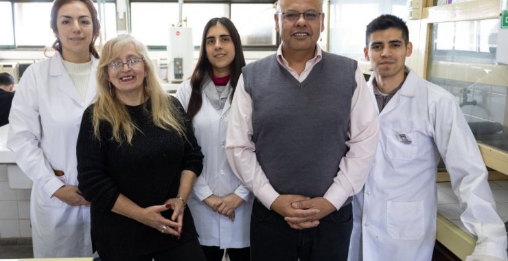 Analizan frutos rojos para inhibir una enzima que afecta a la salud