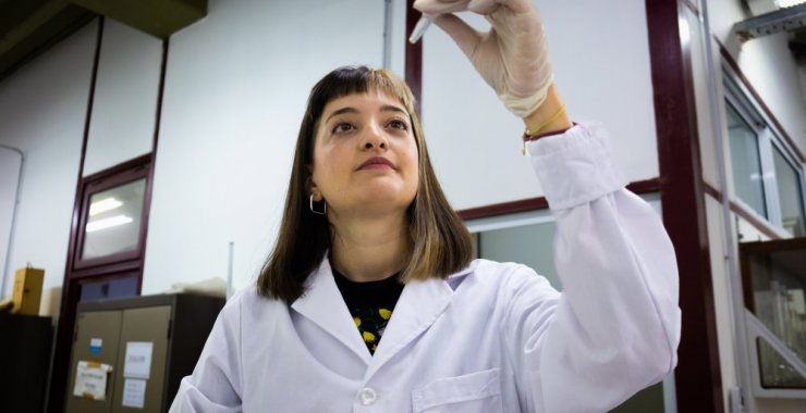 Estudio revela el impacto del cambio climático en la producción de maíz