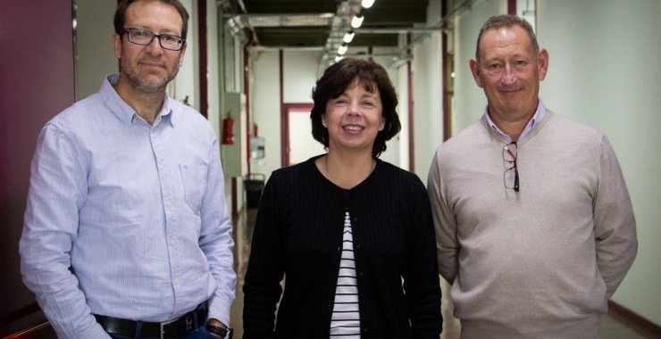 Profesionales de la Universidad trabajan para hacer «Escuelas seguras»